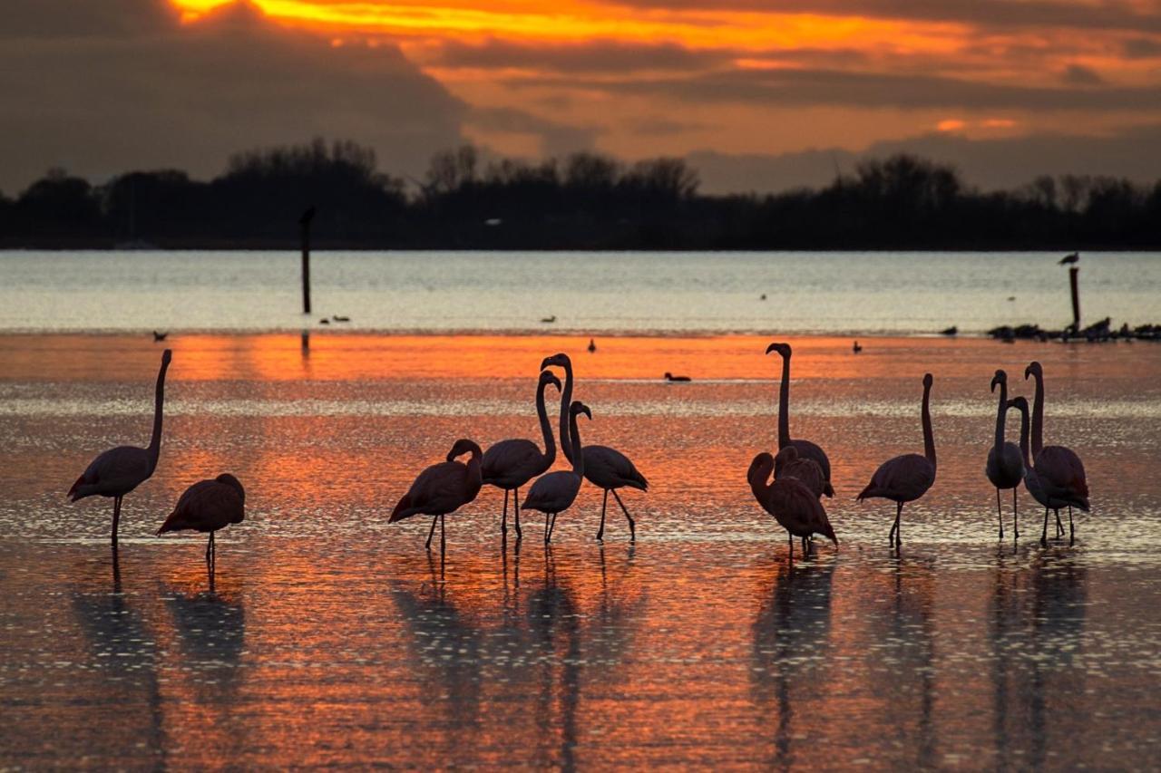 Ijsvogel Apartment, Duplex Family Home 4-Bed Located On The Largest Saltwater Lake Броунисе Екстериор снимка